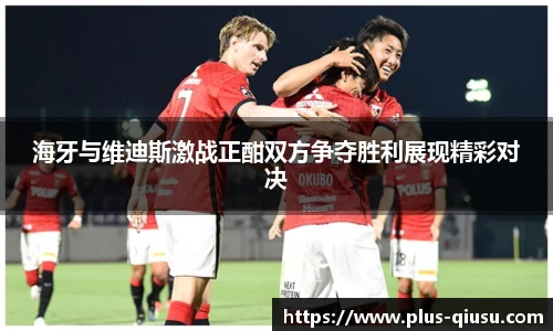 海牙与维迪斯激战正酣双方争夺胜利展现精彩对决